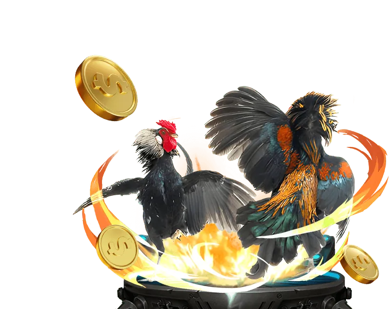 Các bước tham gia cá cược trực tuyến: đăng ký, nạp tiền, đặt cược và rút tiền